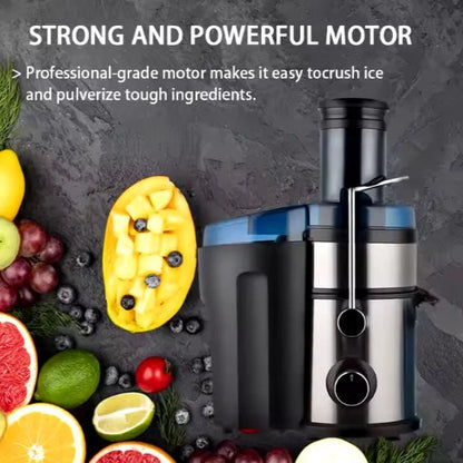 5-in-1 Juicer & Blender ©
